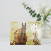 Horse Buddies Briefkaart (Staand voorkant)