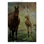 Horse Buddies Grunge (Voorkant)