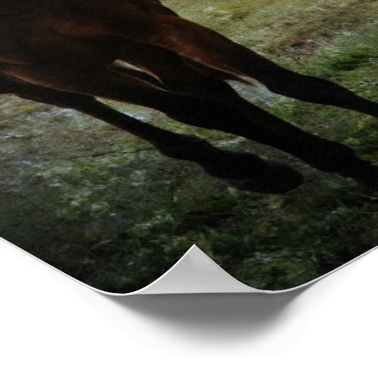 Horse Buddies Grunge Poster (Hoek)