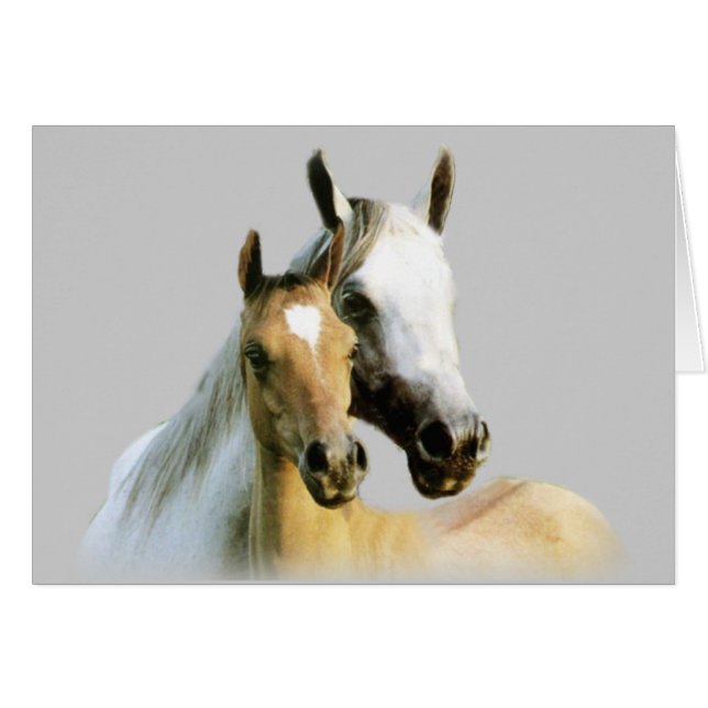 Horse Buddies-kaart (Voorkant Horizontaal)