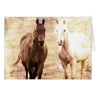 Horse Buddies Sepia
