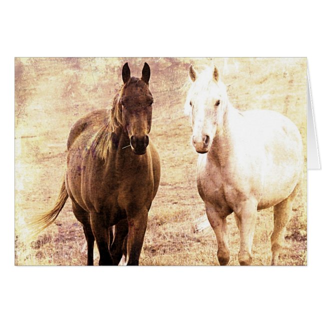 Horse Buddies Sepia (Voorkant Horizontaal)