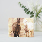 Horse Buddies Sepia Briefkaart (Staand voorkant)