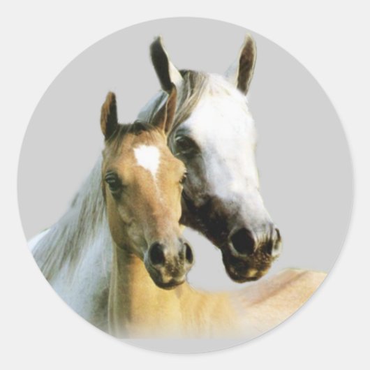 Horse Buddies Sticker (Voorkant)