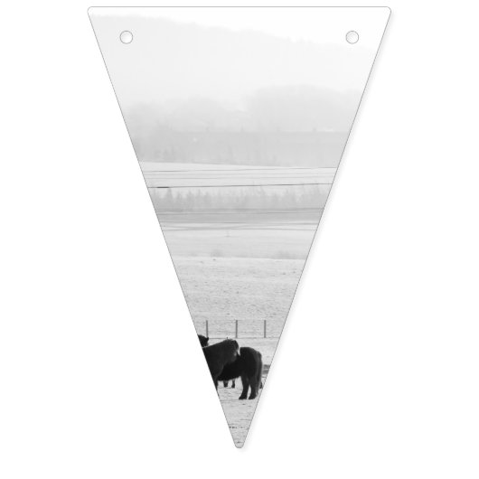 Horse Bunting Vlaggetjes (Derde vlag)