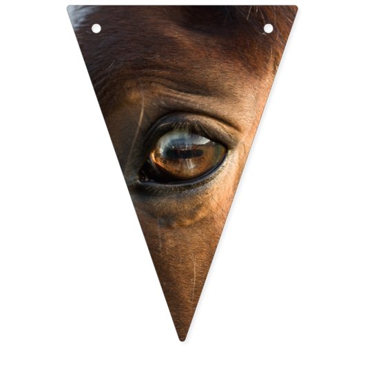 Horse Bunting Vlaggetjes (Tweede vlag)