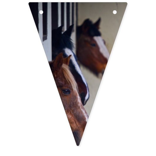 Horse Bunting Vlaggetjes (Eerste vlag)