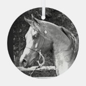 Horse by Hevener Glas Ornament (Achterkant)