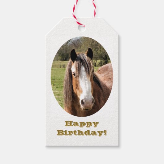 HORSE CADEAULABEL (Voorkant)