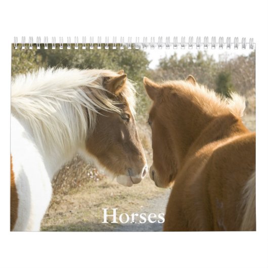 Horse Calendar Kalender (Hoes)