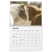 Horse Calendar Kalender (Mar 2026)