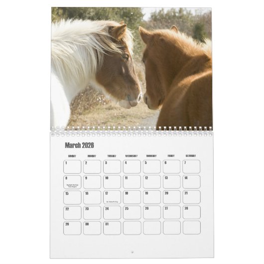 Horse Calendar Kalender (Mar 2026)