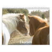 Horse Calendar Kalender (Hoes)