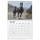 Horse Calendar Kalender (Jan 2026)