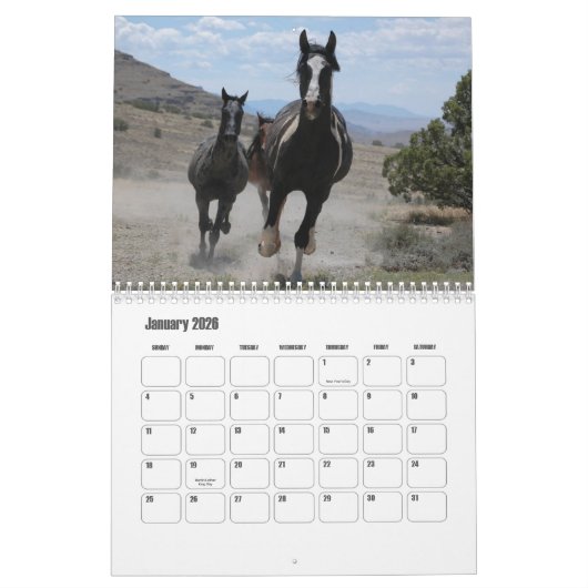 Horse Calendar Kalender (Jan 2026)