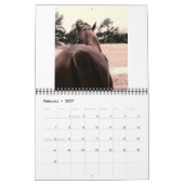 Horse Calender 2011 Kalender (Feb 2027)