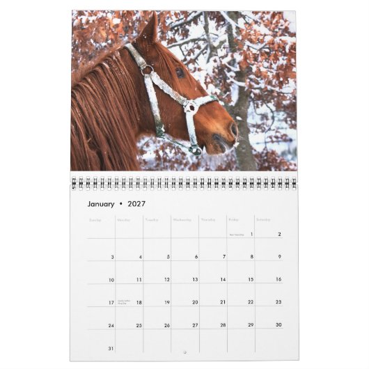 Horse Calender 2011 Kalender (Jan 2027)