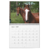 Horse Calender 2011 Kalender (Mar 2027)