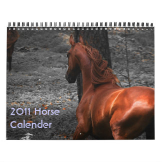 Horse Calender 2011 Kalender