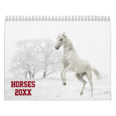 Horse Calender Kalender (Hoes)