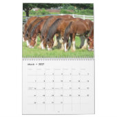 Horse Calender Kalender (Mar 2027)