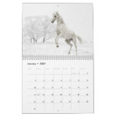 Horse Calender Kalender (Jan 2027)