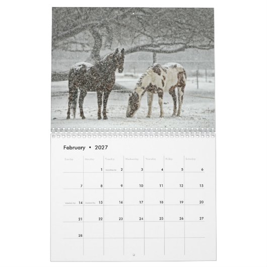 Horse Calender Kalender (Feb 2027)