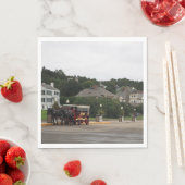 Horse Carriage Mackinac Servet (Insitu)