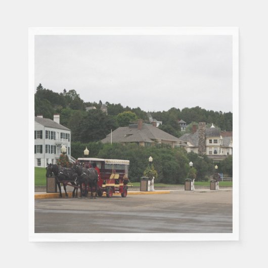 Horse Carriage Mackinac Servet (Voorkant)