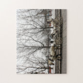 Horse Carriage Montreal. Legpuzzel (Verticaal)