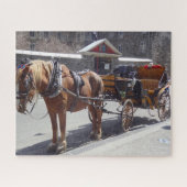 Horse Carriage Montreal. Legpuzzel (Horizontaal)