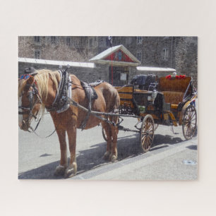 Horse Carriage Montreal. Legpuzzel