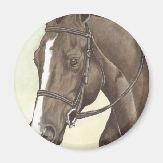 HORSE Champion Appendix QH Mare Magneet (Voorkant)