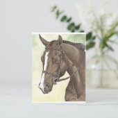 HORSE Champion Bijlage QH Mare Briefkaart (Staand voorkant)