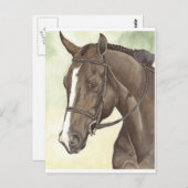 HORSE Champion Bijlage QH Mare Briefkaart (Voorkant / Achterkant)