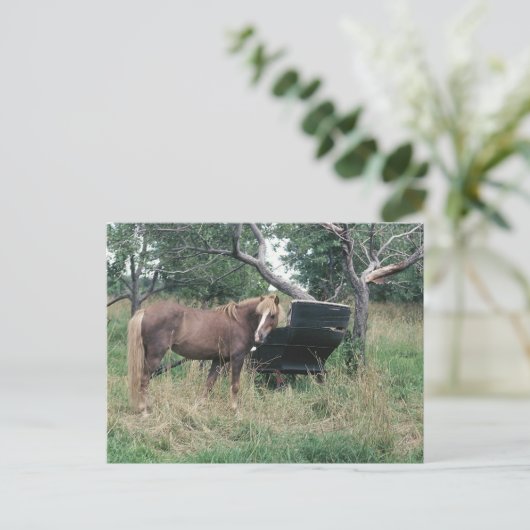 Horse Checking Old Buggy Briefkaart (Staand voorkant)