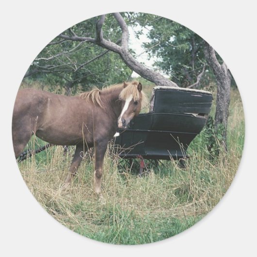 Horse Checking Old Buggy Ronde Sticker (Voorkant)