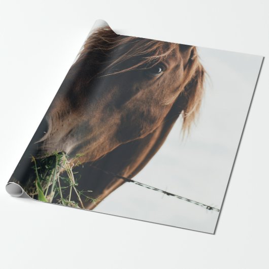 HORSE CHEWING GRASS CADEAUPAPIER (Uitgerold)