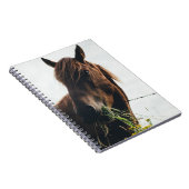 HORSE CHEWING GRASS NOTITIEBOEK (Rechterzijde)