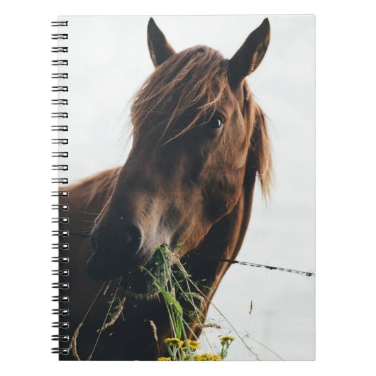 HORSE CHEWING GRASS NOTITIEBOEK (Voorkant)