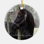 HORSE CHRISTMAS ORNAMENT (Voorkant)