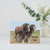 Horse Clydesdale Farming Foto: Dank je wel Briefkaart (Staand voorkant)