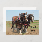 Horse Clydesdale Farming Foto: Dank je wel Briefkaart (Voorkant / Achterkant)