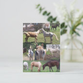 Horse Collage Briefkaart (Staand voorkant)