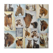 Horse Collage Tile Tegeltje (Voorkant)