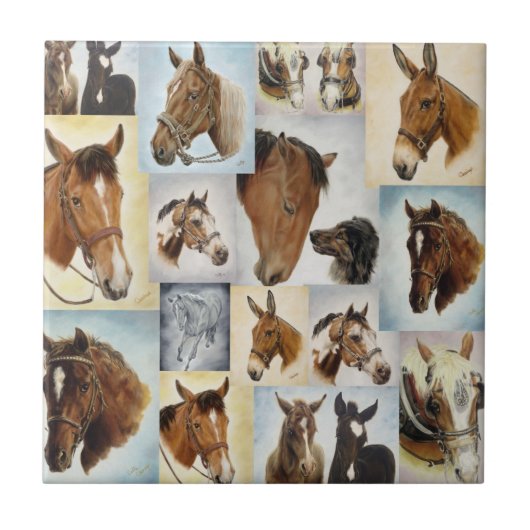 Horse Collage Tile Tegeltje (Voorkant)