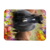 Horse Colorful Magneet (Horizontaal)