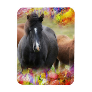Horse Colorful Magneet