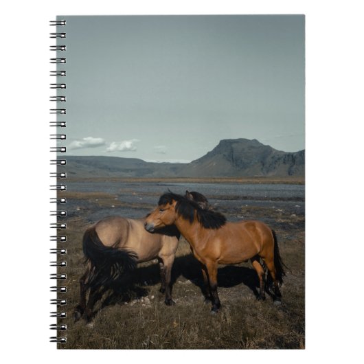 HORSE COUPLE NOTITIEBOEK (Voorkant)