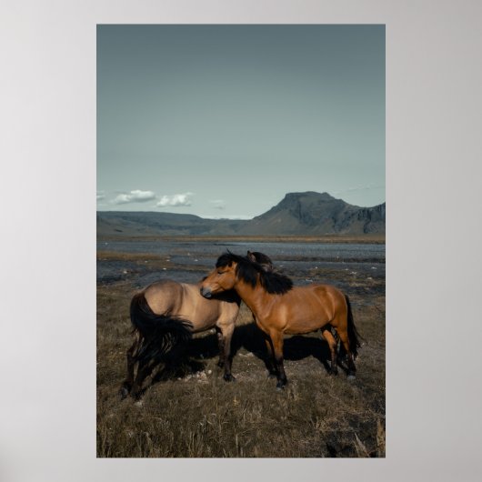 HORSE COUPLE POSTER (Voorkant)